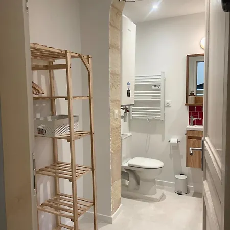 Appartement Ultra Centre - Jacuzzi&vidéoprojecteur Libourne