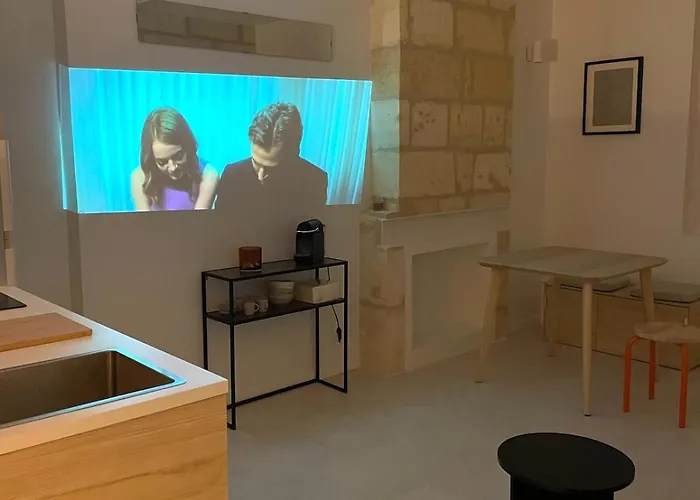 Ultra Centre - Jacuzzi&vidéoprojecteur Appartement Libourne
